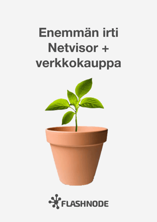 Netvisor-opas